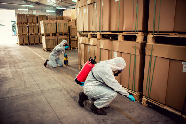 Best Affordable Pest Control Services  in Haskell, TX