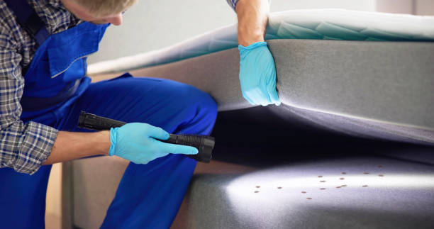 Best Pest Control Near Me  in Haskell, TX