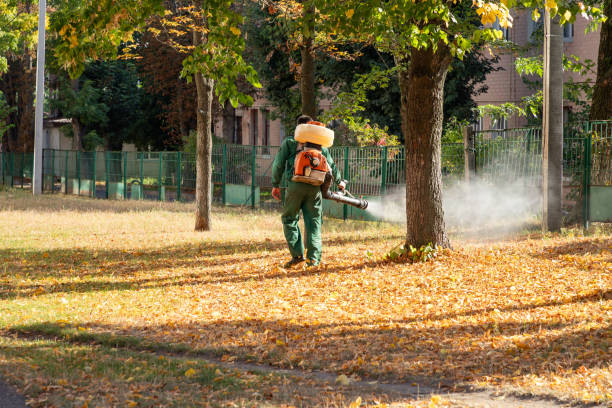 Best Pest Control Near Me in Haskell, TX