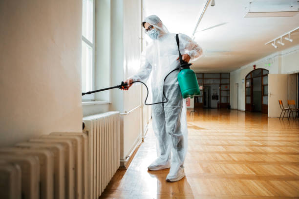 Best Cockroach Control Services  in Haskell, TX